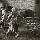 Image for article titled These Unseen Photos From World War I Are Unbelievable